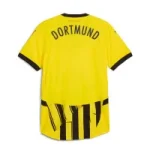 BVB Cup Jersey 2425-1 Borussia Dortmund Collection | Official Merchandise