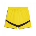 BVB Jersey Pants 2425 Kids yellow-1 Borussia Dortmund Collection | Official Merchandise
