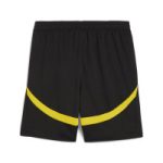 BVB Jersey Trousers 2425 Black-1 Borussia Dortmund Collection | Official Merchandise