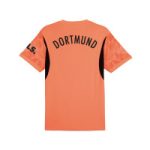 BVB Men Goalkeeper Jersey 2425 Orange-1 Borussia Dortmund Collection | Official Merchandise