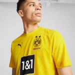 BVB training shirt 2425 yellow-2 Borussia Dortmund Collection | Official Merchandise
