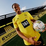 BVB training shirt 2425 yellow-7 Borussia Dortmund Collection | Official Merchandise
